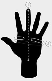 How to Find Your Measurements