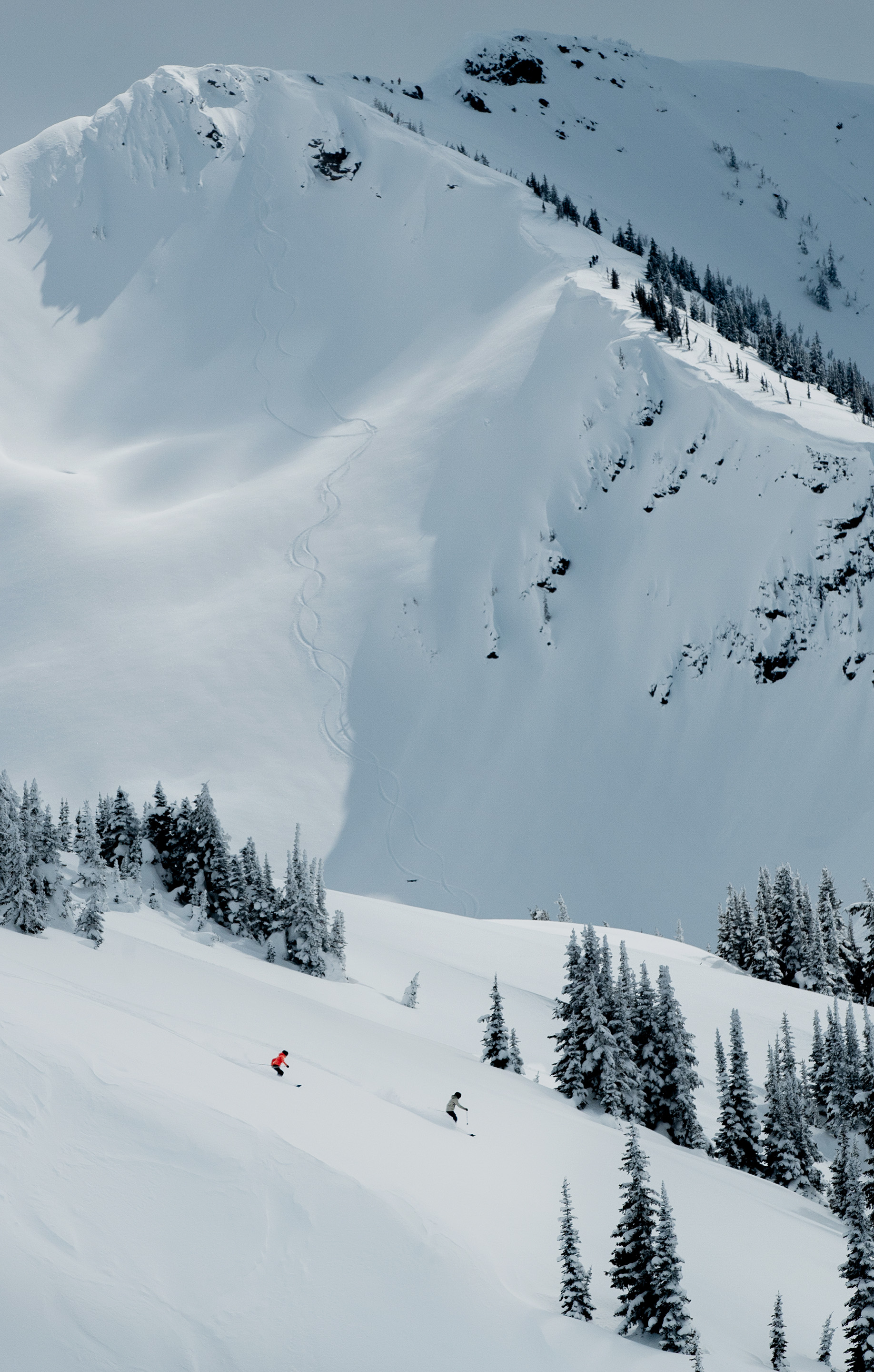 panel29-arcteryx-skiing
